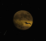 moon