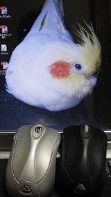 �£ң�