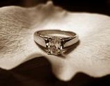 ring1