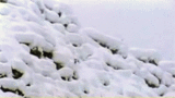 59c98e7f.gif