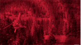 8077df12.gif