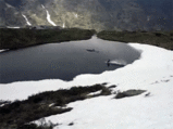 908acf01.gif