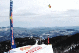 b01421a1.gif