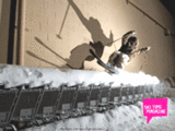 b6c513b0.gif
