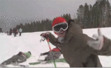 d35c181d.gif