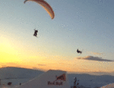 f1358cee.gif