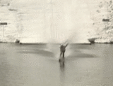 f7f3bd2a.gif