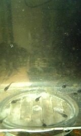 e18a1d05.jpg