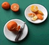 247537a0.JPG