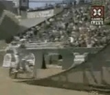 39375021.JPG