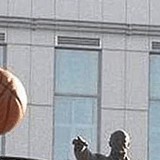 50401974.jpg
