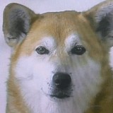 7d8c3802.jpg