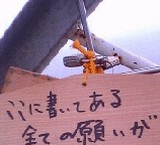 8565aa6a.jpg