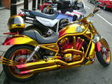 d4e38569.jpg