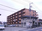 814672e6.jpg