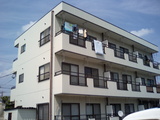 ad3e8a86.JPG