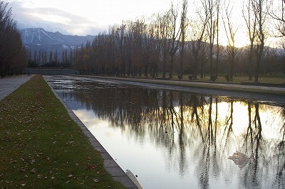 森林公園−15