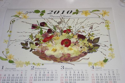 押し花2