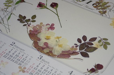 押し花