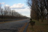 15−森林公園
