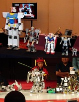 a510293c.jpg