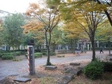 つくば国際会議場でお仕事です