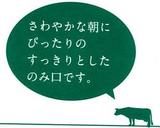 �����󤬤���٤äƤޤ�