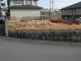 桜岡