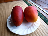 �ޥ󥴡�