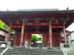 P8294106