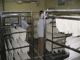 6e23d408.jpg