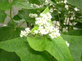 f94b4e69.JPG