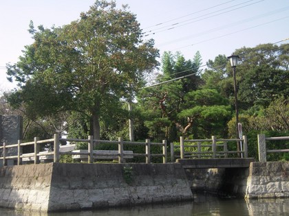 DSCN5877