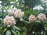 19-P1000671