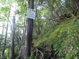 7-P1000631