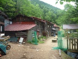 20-P1000673