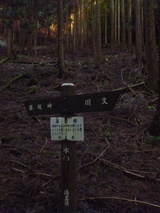 3-P1000620
