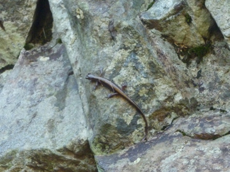 6-P1010362