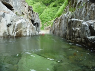 8-P1000988