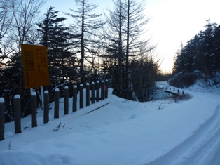 8-P1010586