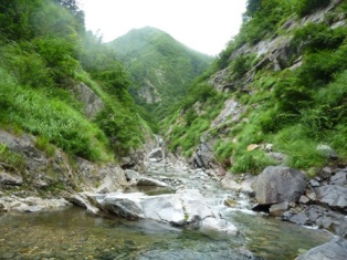 11-P1010010