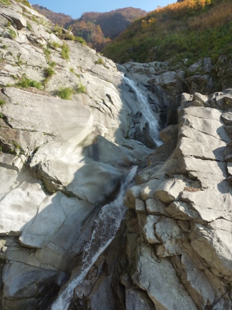 11-P1010372