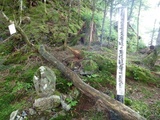 27-P1000708