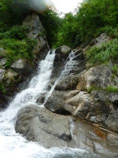 12-P1010007