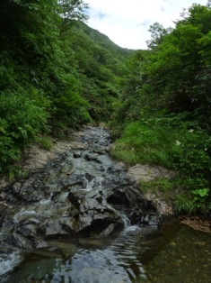 29-P1010057