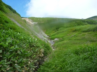 31-P1010066