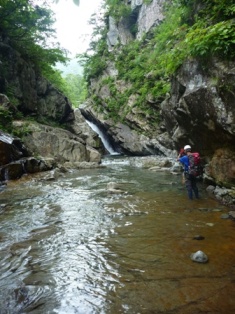 4-P1000972