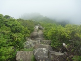 16-P1000663