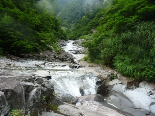 10-P1000996