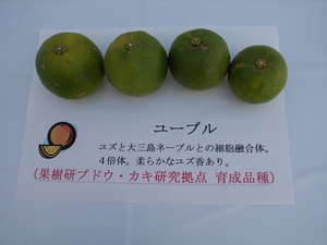 R0010010